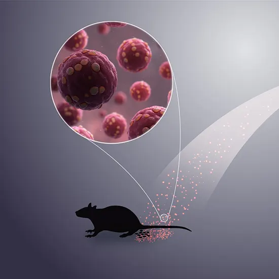 Hantavirus Pulmonary Syndrome